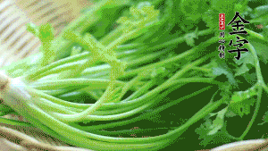 挑選鮮嫩的香菜，洗干凈后，處理成小段。